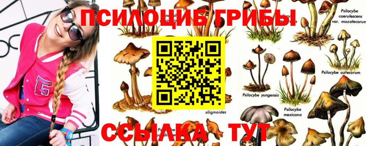 Минусинск  Псилоцибиновые грибы Magic Shrooms  Вход с VPN 
