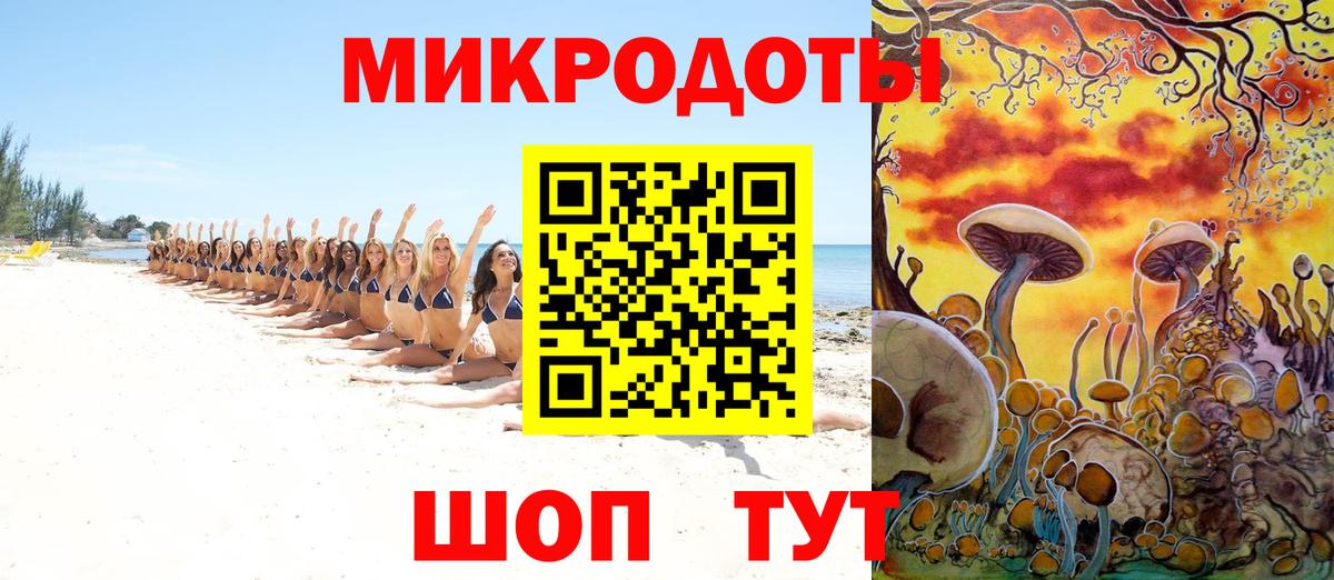 Псилоцибиновые грибы мухоморы Минусинск